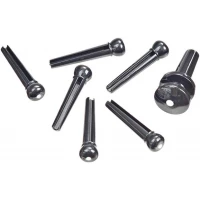 PLANET WAVES PWPS10 - Колышки для крепления струн