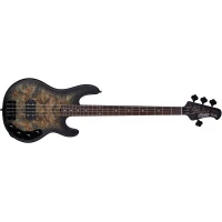 STERLING StingRay Trans Black - Бас-гитара 4 струны