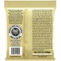 ERNIE BALL 2004 Earthwood 80/20 Bronze Light 11-52 - Струны для акустической гитары