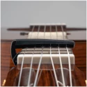 PLANET WAVES PW-CP-19 - Каподастр