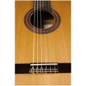 PEREZ 620 Cedar -УЦЕНКА- незначительные косметические дефекты- классическая гитара - верх-кедр, корпус-махагон